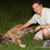 Dan Colucci's profile image