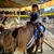 Jessie Henriquez's profile image