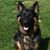Kenneth Zepnick's profile image