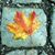 Elaine Larson's profile image