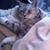 Ian Mouer's profile image