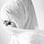 Saria Ibrahim Abd Elbasit's profile image