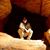 Donnie Jeffcoat's profile image