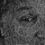 Tony Tucson's profile image