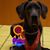 Mary Darlene Shipman's profile image