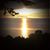 Linda Barth's profile image