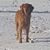 Janell Schwab Slight's profile image