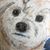 Susan Bussing's profile image