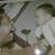 Miqueta Chalmers's profile image