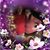 Daysi Barrios's profile image