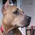 Kate Kingshott's profile image