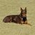 Beth Ross Romines's profile image