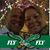 Jennifer Adams's profile image