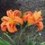 Judith McCrary Wofford's profile image