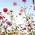 Alice Schriewer Reuther's profile image