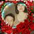 Sorcy Morie Altamirano's profile image