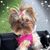 Dena Martz's profile image