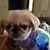 Terri Miller's profile image