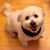 Raymond Dove's profile image
