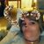 Dawn Landry's profile image