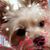 Jacquelyn Laundre's profile image