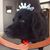 Joe Riello's profile image
