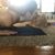 Kelly Hanlin McCormick's profile image