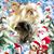Cathie Arnold's profile image
