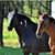 Diane Friberg's profile image