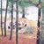 Joteish Battles Reddish's profile image