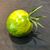 Gail Palmer Hicks's profile image