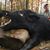 Rick Zehr's profile image