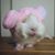 Renee Mutton's profile image