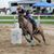 Ashley Soule-Neely's profile image