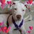 Karen Stringer's profile image