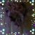 Theresa Kaelin's profile image