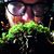 Beefy Brindley's profile image
