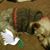 Ann Skeens Moore's profile image