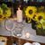 Carolyn Edwards- Sunflowers's profile image