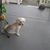 Paul T Evans's profile image