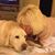 Donna Lovelady's profile image