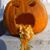 Rachel Burlingame's profile image