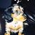 Nileny Elena Mussatto-hluchan's profile image