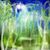 Susan Diana's profile image