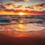 Rochelle Causey's profile image