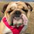 Cece Bull's profile image