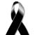 Elena Corral Márquez's profile image