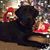 Renee Vertin Perkins's profile image