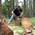 Trevor Montgomery's profile image