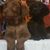 Que Oso's profile image